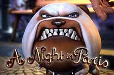 anightinparis